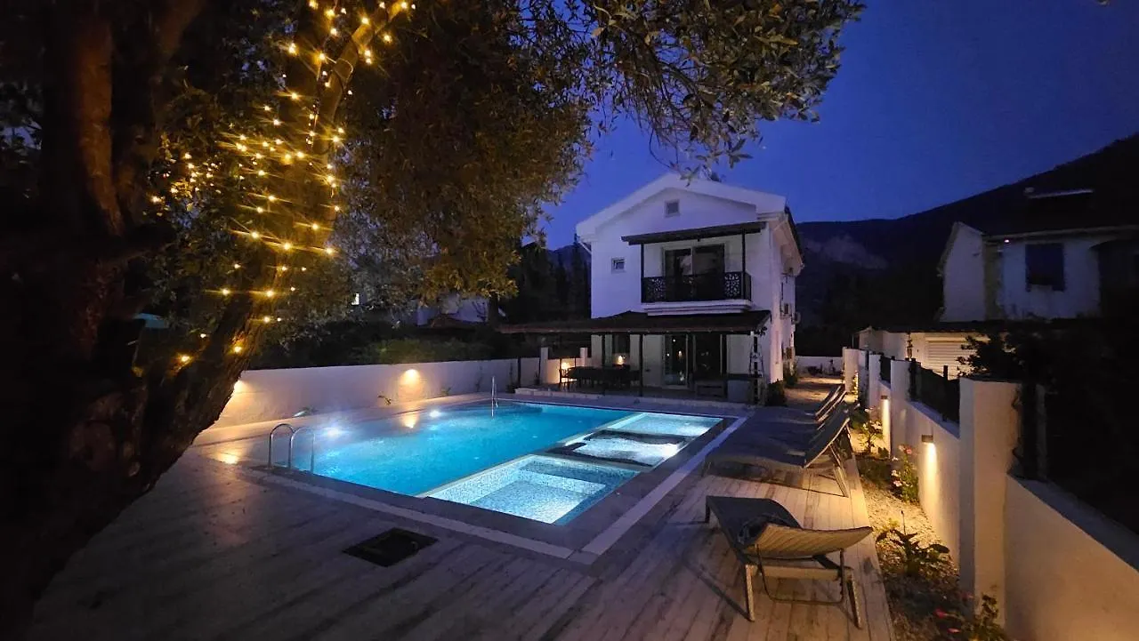 Villa Galaxy داليان